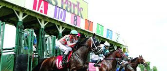 58th international camel & ostrich races. Henderson Tourist Commission 5 Things Thoroughbreds Love About Ellis Park