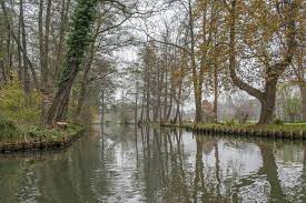 Ein geheimtipp für alle ruhesuchenden! Spreewald Im Winter Und Herbst 10 Tipps Fur Einen Gelungenen Aufenthalt Reiseblog Gecko Footsteps