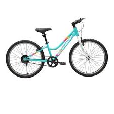 Replace seat schwinn 230 recumbent exercise bike : Green White Schwinn Kids High Timber 24t Green White Bicycle Id 12868988155