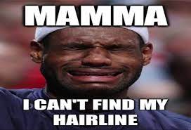 Business was up and down. 15 Best Hairline Jokes Ideas Hairline Jokes Jokes Funny Basketball Memes