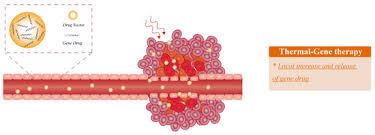 Image result for Local Heat Therapy