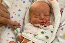 Fundraiser for Kelly Hershey by Ben Noel : Teddy's Family Needs Your  Support and Prayers