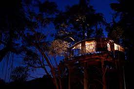 We did not find results for: Love Cabins Wollemi Wilderness Treehouse Tree House Winter Cabin Cool Tree Houses