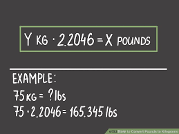 How To Convert Pounds To Kilograms 6 Steps With Pictures