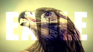 Maybe you would like to learn more about one of these? Felix Jaehn Feat Lost Frequencies Linying Eagle Eyes Official Lyric Video Youtube