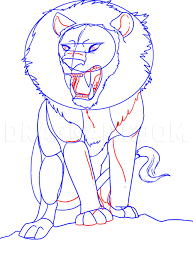 So if you need to examine a lion, you just catch a cat and have a closer look at it. How To Draw An Anime Lion Step By Step Drawing Guide By Dawn Dragoart Com