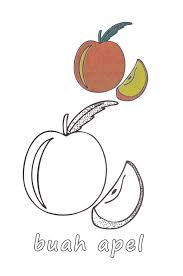 Sebagaimana yang sudah kita sebutkan di atas, bawah menggambar dan apel adalah buah yang memiliki kulit berwarna merah pada saat sudah matang. Lagi Tren Gambar Sketsa Apel Ideku Unik