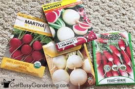 The fact that it doesn't require much attention makes it a perfect option for a 3 tips of how to plant radish. Growing Radishes From Seed Everything You Need To Know