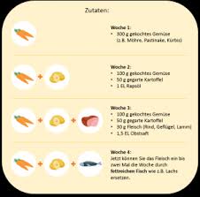 Ready For Puree How To Introduce Complementary Foods Denk Nutrition