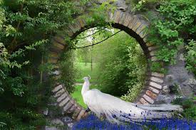 Images Of Peacocks In A Garden Peacock Garden Photograph Gardens Of The World Landscape Design Garden Wall