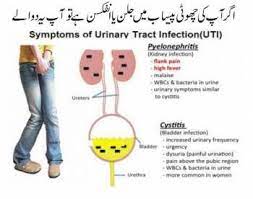Ciprofloxacin 500mg And Uti Cystitis Interstitial Cystitis Painful Bladder Syndrome