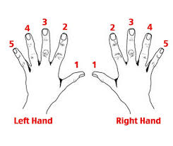 70 studious printable piano finger chart