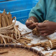 Le Poivre Voatsiperifery Tresor De La Canopee Malgache Terre Exotique Terre Exotique Cannelle De Ceylan Gastronomie