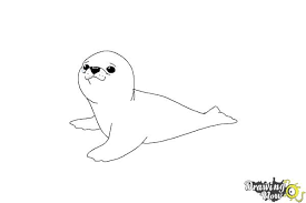 How To Draw A Baby Seal Drawingnow Cute little seal drawing tutorial easy for kids. how to draw a baby seal drawingnow