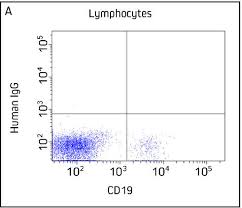 The optimal working dilution should be. Anti Camelid Secondary Antibodies Jackson Immunoresearch
