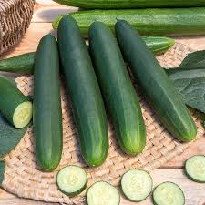 Image result for Cucumis humifructus