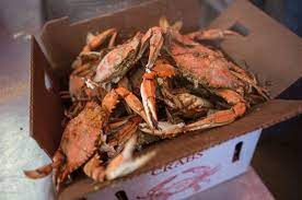 How many crabs in a bushel? Half Bushel Male Crabs Picture Of T L Morris Seafood Trappe Tripadvisor