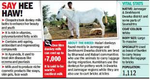 How much does it cost to get a donkey. Gujarat Care For Some Donkey Milk It S Rs 7 000 A Litre Vadodara News Times Of India