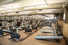 Husband, dad of three, broncos fan, member for murrumba and minister for queensland. Gym In Gold Coast Chicago Ffc Gold Coast Chicago Gyms