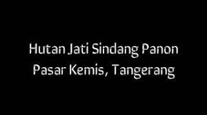 Kemarin untuk sterilisasi pasar kami semprot disinfektan seluruh pasar sampai ke masjid. Hutan Jati Raya Sindang Panon Pasar Kemis Tangerang Youtube