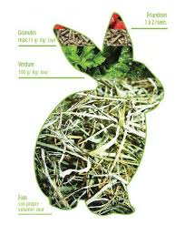 L Alimentation Du Lapin De Compagnie Relu Par Revelnac Association Marguerite Cie En 2020 Lapin De Compagnie Alimentation Lapin Lapin