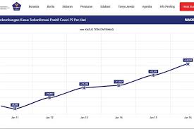 Data tersebut juga bisa diakses publik melalui situs covid19.go.id. Kasus Harian Covid 19 Di Indonesia Pecahkan Rekor 4 Hari Berturut Turut Apa Yang Terjadi Halaman All Kompas Com