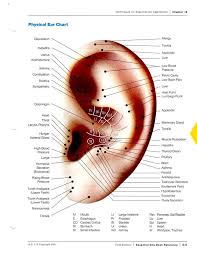 punctilious ear chart picture ear reflex points wall chart