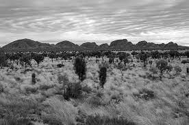 Black And White Australia Landscape Photography Rustic Home Etsy In 2021 Landscape Australia Landscape Landscape Photography