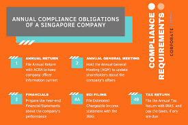 It shows what your business owns and what it owes. Singapore Company Annual Filings Agm Annual Returns 2021 Guide
