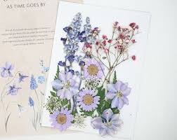 Sale price $7.84 $ 7.84 $ 9.80 original price $9.80 (20% off) add to favorites. Bulk Pressed Flowers Etsy