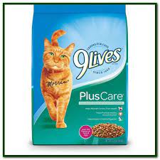 Vet Recommended Dry Cat Food Brands Cat Food Reviews Cat Food Cat Food Brands