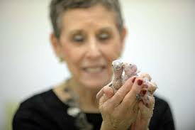 Stamford business owner follows bird call