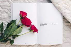 Check spelling or type a new query. 35 Kata Kata Bijak Mutiara Tentang Bunga Mawar Romantis Dan Puitis Diadona Id
