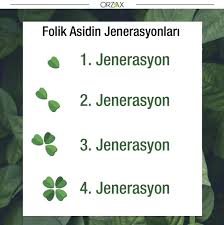 1 Jenerasyon Besinlerden Aldigimiz Folik Asit 2 Jenerasyon Sentetik Folik Asit 3 Jenerasyon Aktif Folik Asit Kalsiyum Tuzu 4 Jenereasyon Aktif Folik A