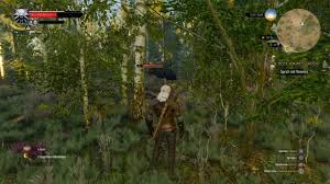 All yrden upgrades watch geralt lay supernatural traps with yrden, one of the witcher 3's five magical. The Witcher 3 Orte Der Macht Weissgarten Bilder Screenshots Computer Bild Spiele