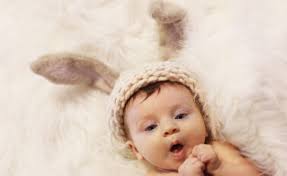 Danielle Showers Photography