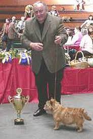 Auf dieser karte findest du yorkshire terrier züchter in österreich. Nachruf Fur Wolfgang Seibert