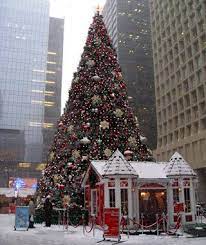 America S Tallest Christmas Trees Christmas Tree Shop Tall Christmas Trees Outdoor Christmas Lights