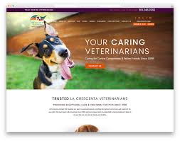 19 Best Veterinary Websites For Veterinarians 2020 Colorlib