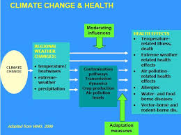 Check spelling or type a new query. The Effects Of Global Warming And Climate Change Health Knowledge