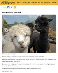 This site uses cookies for analytics, personalized content and ads. Press Pr Alpacaly Ever After