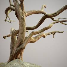 Low Boly Big Tree 3d Model Big Tree 3d Model Boly