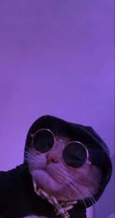 We have an extensive collection of amazing background images carefully chosen by our community. I M The Happiest Emo U Will Ever Meet On Spotify In 2021 Funny Cat Wallpaper Cute Cat Wallpaper Cat Aesthetic