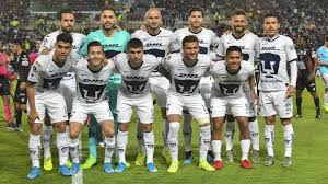Lo más importante de cada día, la lectura necesaria en la vuelta a casa. Larva Del Moscardon Lo Anterior Diagonal Noticias De Pumas Hoy No Pueden Ver Monte Vesubio Presentar