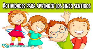 20,605 likes · 6,811 talking about this. Los 5 Sentidos Del Cuerpo Humano Para Ninos Educapeques