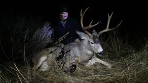 Elk hunting in colorado usually takes place in steep and broken terrain, ravines, dense woods, etc. Hunts Adrenaline Outfitters