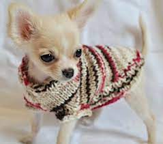 Socke konnte zusammen mit vielen anderen welpen aus einer tötungsstation in rumänien in sicherheit gebracht werden und wird nun in unserem priv. Hundepullover Selber Stricken Oder Aus Einem Alten Pulli Basteln