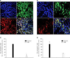 1× meshforce m3 wifi point 2× meshforce m3 dot 1× ethernet cable 1× quick start guide Expression Of M2 And M3 Muscarinic Receptors In Control A And Download Scientific Diagram