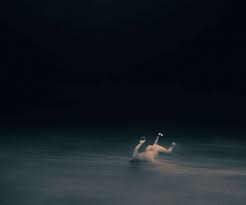 noma reinvented rustic modernism meets scandinavian authenticity yatzer pacific ocean julian photo