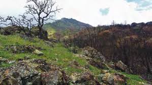 Zone 7 Will Deliver Only 75% of Requested Water